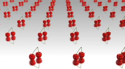 Red cherries on white background. Ilustración de archivo