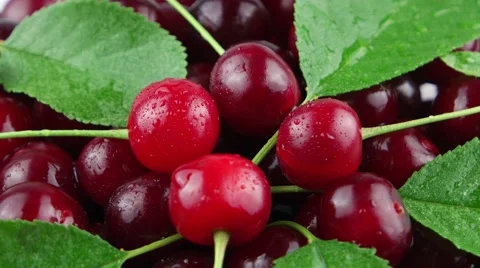 Red cherry and green leaves with water drops rotates Stock Footage 52231399