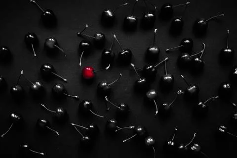Red cherry on a background of black cherries. Concept: exclusive. Stock Photos