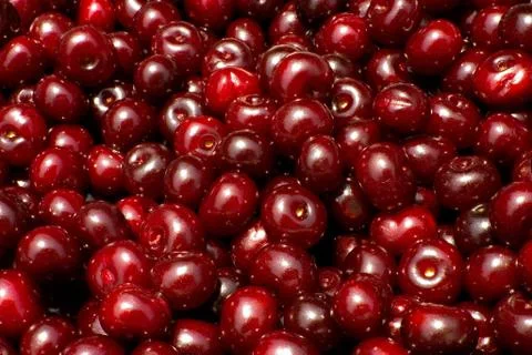 Red cherry background Stock Photos