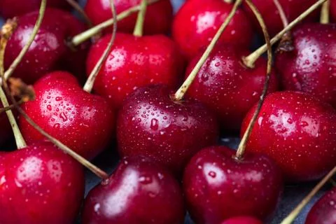 Red cherry background 写真素材