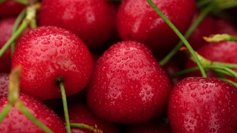 Red cherry berries close up, rotation Video stock 244300916