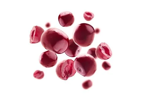 Red cherry berries levitate on a white background Stock Illustration
