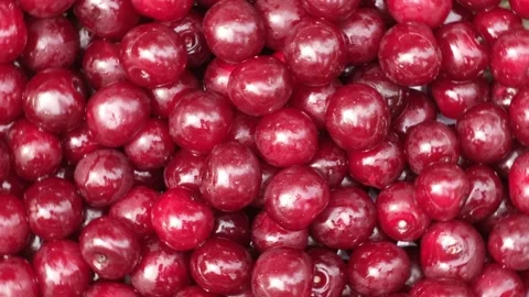 Red cherry berry background rotation. Fresh juicy wet spinning cherry berries Stock Footage 235695253