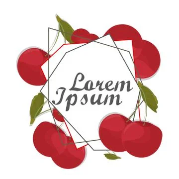Red cherry card, frame. Engraving, drawing fruits. Vintage vector Stock Illustration