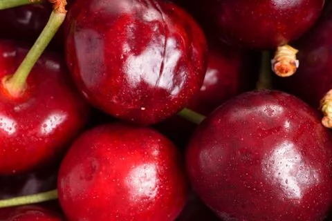 Red Cherry, Cherries Stock Photos