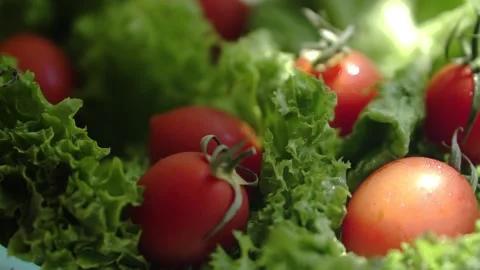 Red cherry fresh tomatoes and green salad under the sun rays Stock Footage 133344519