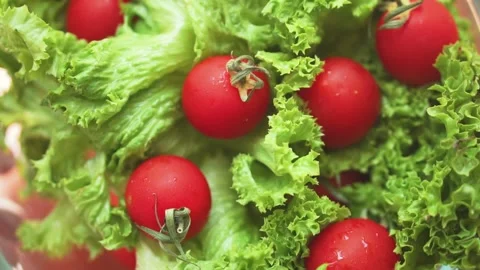 Red cherry fresh tomatoes and green salad under the sun rays Stock Footage 133344587