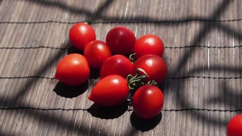 Red cherry fresh tomatoes close up slow motion. Stock Footage 133344783