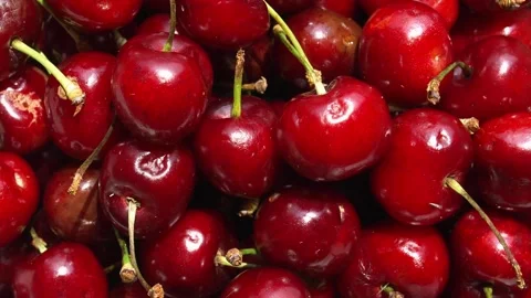Red cherry fruit Stock Footage 140104387