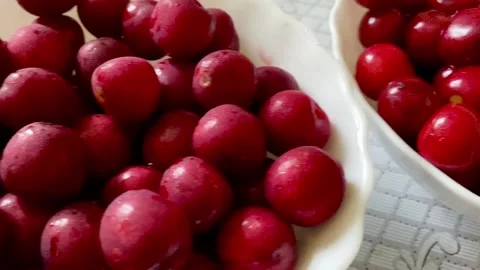 Red cherry fruits Stock Footage 137250518