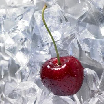 Red cherry on ice Stock Photos