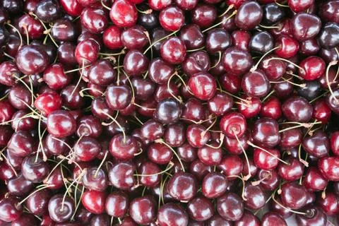 Red cherry natural background. Foto stock