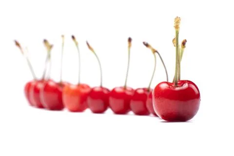 Red cherry Stock Photos