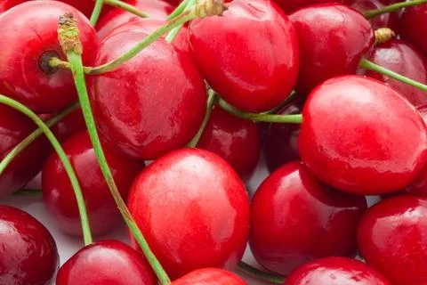 Red cherry Stock Photos