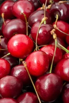 Red cherry Stock Photos