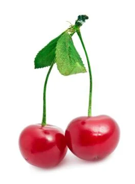 Red cherry Stock Photos