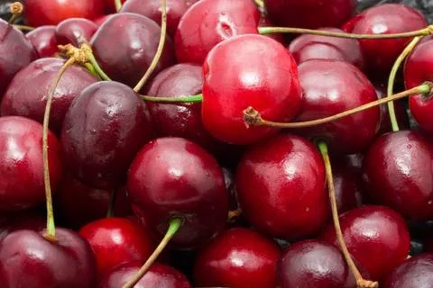Red cherry Stock Photos