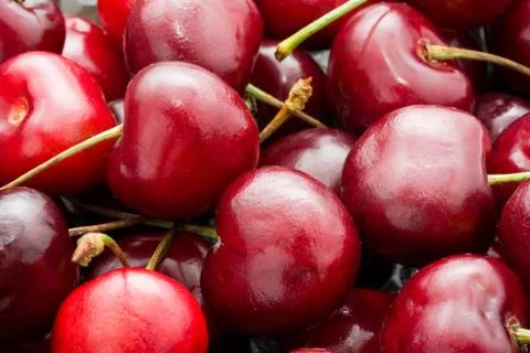 Red cherry Stock Photos