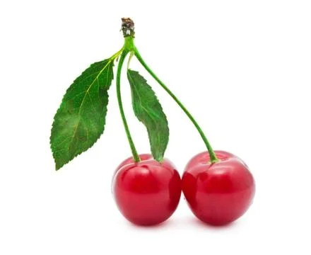Red cherry Stock Photos