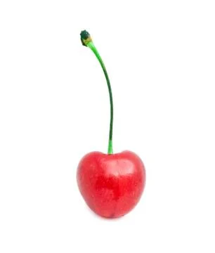 Red cherry Stock Photos
