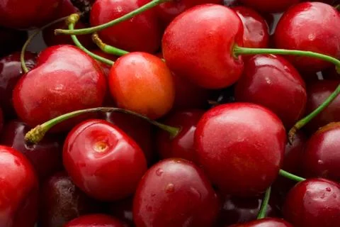 Red cherry Stock Photos