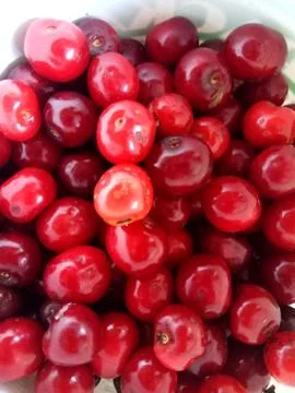 Red cherry Stock Photos