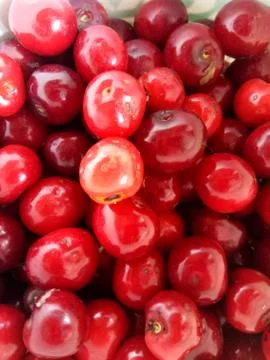 Red cherry Stock Photos