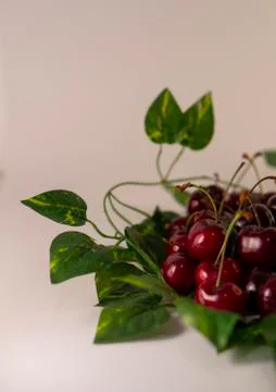 Red cherry Stock Photos