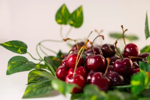 Red cherry Stock Photos