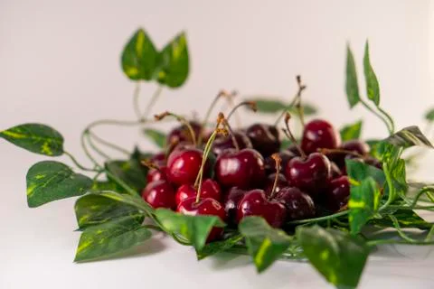 Red cherry Stock Photos