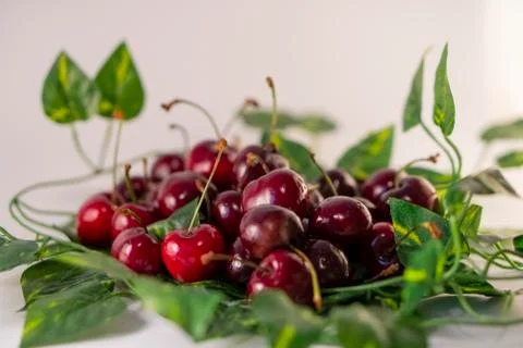 Red cherry Foto stock