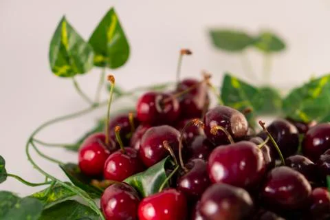 Red cherry Stock Photos