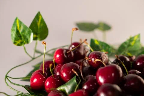 Red cherry Stock Photos