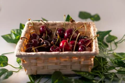 Red cherry Stock Photos