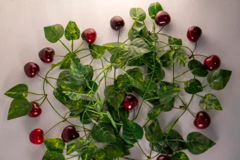 Red cherry Foto stock