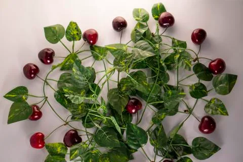 Red cherry Stock Photos