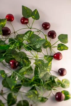 Red cherry Stock Photos