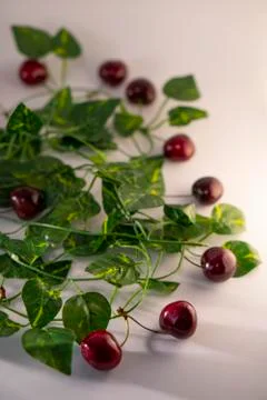 Red cherry Foto stock