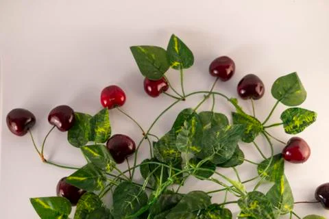 Red cherry Stock Photos