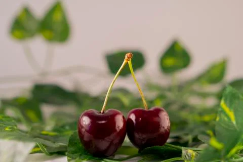 Red cherry Stock Photos