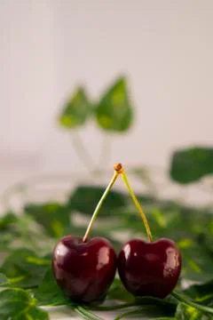 Red cherry Stock Photos