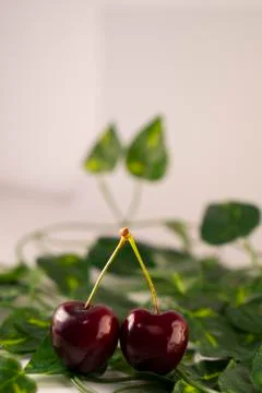 Red cherry Foto stock