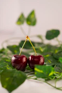 Red cherry Stock Photos
