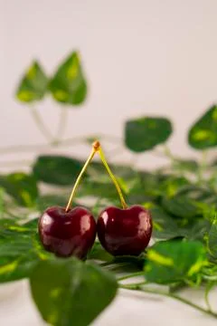 Red cherry Foto stock