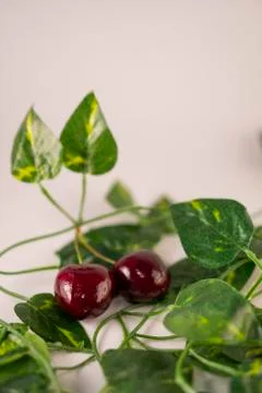 Red cherry Stock Photos