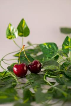 Red cherry Stock Photos