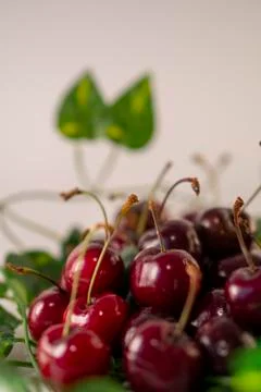 Red cherry Stock Photos