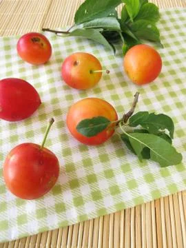 Red cherry plums Stock Photos