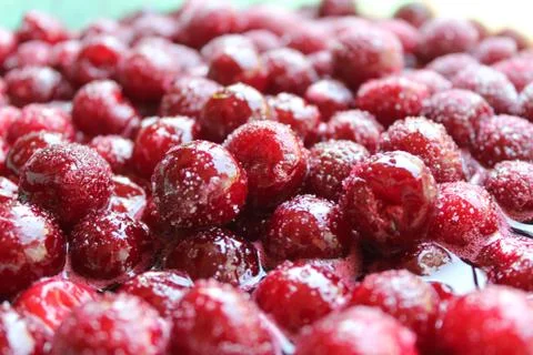 Red cherry with sugar. Stock Photos